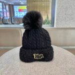 クリスチャンディオール 秋冬用 ニットキャップ cap 恋人 2210XMJ55-DIM4856